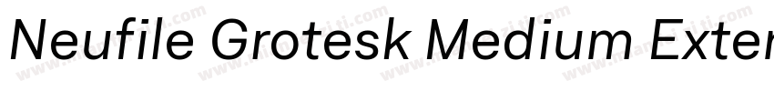 Neufile Grotesk Medium Extended Ita字体转换